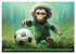 Fußballfieber bei den Babyaffen... - Bild 4