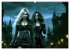 Vampire Nachtkreaturen (Wandkalender... - Bild 3