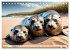 Freche Seehunde (Tischkalender 2026 DIN... - Bild 13