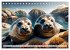 Freche Seehunde (Tischkalender 2026 DIN... - Bild 4