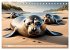 Freche Seehunde (Tischkalender 2026 DIN... - Bild 10