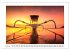 Bali Insel der Götter (Wandkalender... - Bild 9