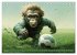 Fußballfieber bei den Babyaffen... - Bild 12