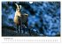 Steinbock - König der Alpen... - Bild 4