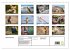 Wildtierkalender (Wandkalender 2026 DIN... - Bild 6