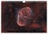 Deep-Sky Fotografie (Wandkalender 2026... - Bild 4