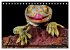 Kleine Drachen - Echsen (Tischkalender... - Bild 9