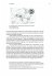 The Reluctant Architecture of European... - Bild 4