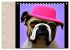 Graphic PoP Art Bulldogge... - Bild 12