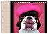 Graphic PoP Art Bulldogge... - Bild 4