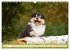 Collies - Eine Liebe für immer und... - Bild 13