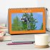 Slopestyle Mountainbike (Tischkalender... - Bild 2