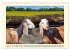 Wer meckert da? (Wandkalender 2026 DIN... - Bild 14