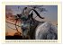 Wer meckert da? (Wandkalender 2026 DIN... - Bild 5
