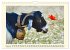 Wer meckert da? (Wandkalender 2026 DIN... - Bild 8
