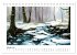 Waldgemälde (Tischkalender 2026 DIN A5... - Bild 7