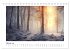 Waldgemälde (Tischkalender 2026 DIN A5... - Bild 8
