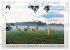 Deutsches Jagdwild - Waidmannsheil... - Bild 14