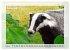 Deutsches Jagdwild - Waidmannsheil... - Bild 8