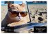 Der humoristische Katzen Kalender... - Bild 14