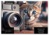 Der humoristische Katzen Kalender... - Bild 4