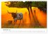 Texas - Howdy aus dem Lone Star State!... - Bild 15
