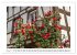 Radolfzell am schönen Bodensee... - Bild 13