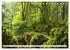 Traumhafte Wälder (Tischkalender 2026... - Bild 3