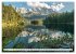 Traumhafte Wälder (Wandkalender 2026... - Bild 11