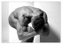 Männer... backview (Wandkalender 2026... - Bild 12