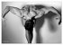 Männer... backview (Wandkalender 2026... - Bild 8