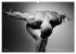 Männer... backview (Wandkalender 2026... - Bild 9