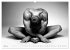 Männer... backview (Wandkalender 2026... - Bild 10