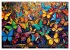 Schmetterlinge voller Kunst... - Bild 4