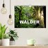 Traumhafte Wälder (Wandkalender 2026... - Bild 2