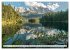 Traumhafte Wälder (Wandkalender 2026... - Bild 11
