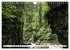 Traumhafte Wälder (Wandkalender 2026... - Bild 12