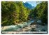 Traumhafte Wälder (Wandkalender 2026... - Bild 15