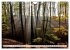 Traumhafte Wälder (Wandkalender 2026... - Bild 8