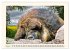 Tierische Schweinereien (Wandkalender... - Bild 12