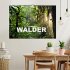 Traumhafte Wälder (Wandkalender 2026... - Bild 2