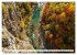 Traumhafte Wälder (Wandkalender 2026... - Bild 4