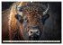 Amerikanischer Bison (Wandkalender 2026... - Bild 8