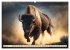 Amerikanischer Bison (Wandkalender 2026... - Bild 9