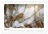 Zauberhafte Rotkehlchen (Wandkalender... - Bild 7