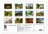 Fotogalerie Fotogalerie