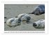 Naturschutz in Deutschland... - Bild 15
