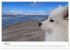 Ein Samojede am Meer (Wandkalender 2026... - Bild 11