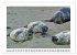 Naturschutz in Deutschland... - Bild 15