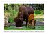 Naturschutz in Deutschland... - Bild 8
